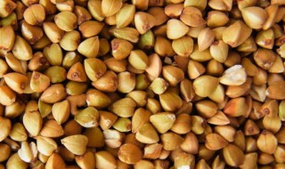 荞麦的吃法（荞麦面的吃法与做法）