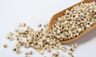 苡米的吃法 苡米功效与作用及禁忌症