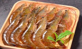 哪些人不能吃小虾皮（哪些人不宜吃皮皮虾）