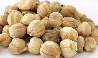 哪些人不能吃豆蔻 吃豆蔻有什么作用