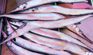针鱼的吃法（针鱼的做法大全家常）