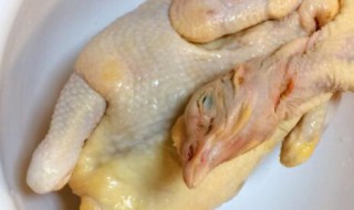 哪些人不能吃三黄鸡（哪些人不能吃三黄鸡汤）