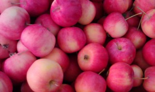 沙果的吃法 沙果的吃法有哪些