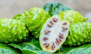 哪些人不能吃刺角瓜 刺角瓜能吃吗