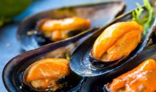 哪些人不能吃贻贝 贻贝什么人不能吃