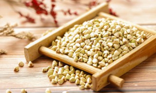 哪些人不能吃荞麦 哪些人不能吃荞麦面