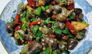 螺蛳的吃法 田螺吃哪个部位示范图