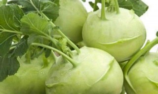 哪些人不能吃苤蓝 什么人不能吃苤蓝