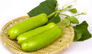 蒲瓜的吃法（蒲瓜怎么吃好）