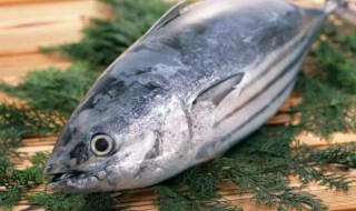 哪些人不能吃青鱼 哪些人不能吃青鱼汤