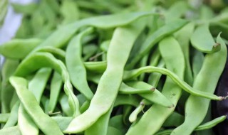 哪些人不能吃芸豆 芸豆能吃吗