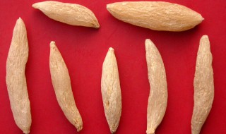 哪些人不能吃麦冬 哪些人不能喝麦冬