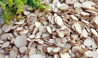 哪些人不能吃白芷 哪些人不能吃白芷和生姜