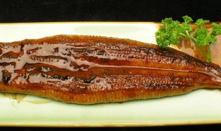 哪些人不能吃鳗鱼（哪些人不能吃鳗鱼饭）