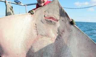 哪些人不能吃鳐鱼 哪些人不能吃鮰鱼