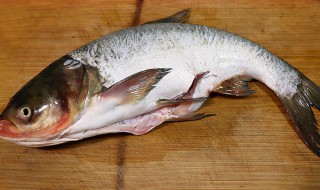 哪些人不能吃鳙鱼 哪些人不能吃鳙鱼类