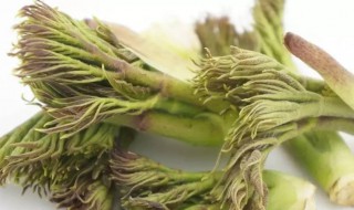 哪些人不能吃龙头菜（龙头能吃吗）