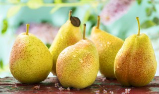 巴梨的吃法 巴梨怎么吃