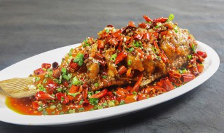 昌鱼的吃法（昌鱼的吃法大全）