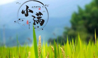 关于小满的节气灾害和养生 小满节气百度百科