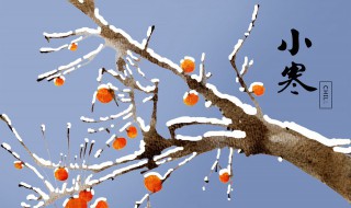 小寒节气养生吃什么食物最好（小寒季节吃什么养生）