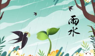 2022年雨水节气需注意什么（2022年雨水节气需注意什么问题）