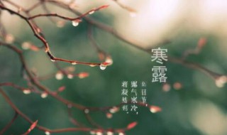 寒露时节的饮食习俗是什么 寒露节气饮食文化