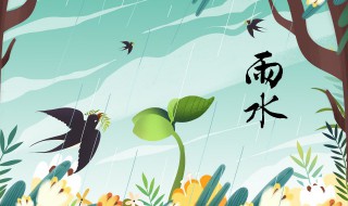 雨水时节怎么防病养生（雨水节气养生注意事项）