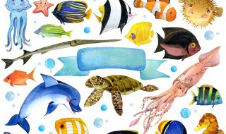 大雪节气饮食必知（大雪节气的饮食）