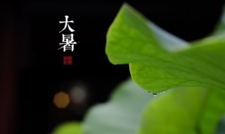 大暑时节养生原则 大暑节气养生原则