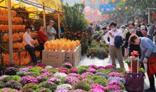春节都买什么年货 春节都买什么年货呢