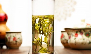 花草茶的吃法（花草茶的吃法和做法）