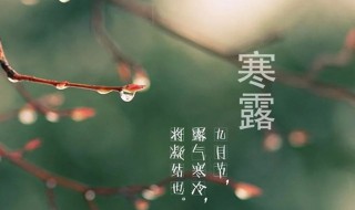 寒露节气怎么防哮喘与过敏(寒露节气怎么防哮喘与过敏的发生)