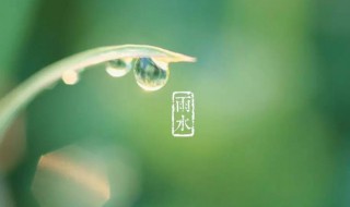 雨水节气吃啥养生(雨水节气吃啥好)