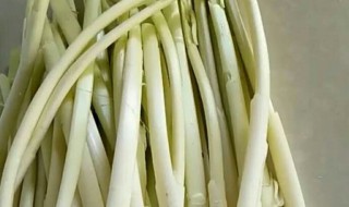 香蒲的吃法 香蒲的功效与作用及食用方法
