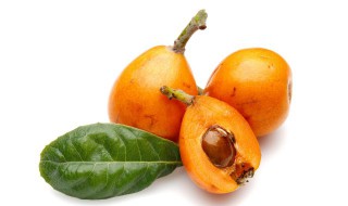 枇杷果的吃法(枇杷果的吃法和做法)