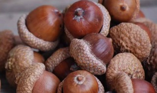 哪些人不能吃橡实 哪些人不能吃橡实果