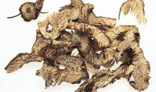 升麻的功效与作用（升麻的功效与作用主要治什么病）