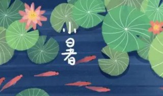 关于小暑的前后节气（介绍一下小暑节气）