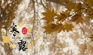 寒露节气健康饮食的十要点 寒露节气的食疗养生重点是什么