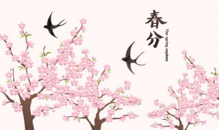 二十四节气之春分时节话养生 二十四节气的节与气