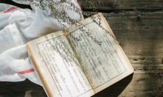 西游记第46回概括 西游记第一回情节概括