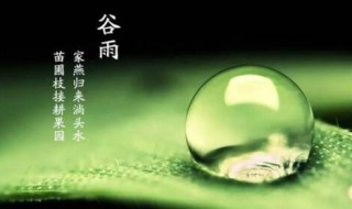 谷雨节气养生食谱 谷雨节气的饮食养生