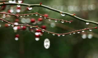 2022年二十四节气时间表大全 2022节气表二十四节气日历