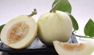 哪些人不能吃白兰瓜 哪些人不能吃白兰瓜子