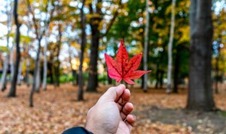 秋季健康饮食小常识（秋季健康饮食小常识大全）