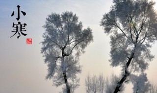 二十四节气小寒的由来及风俗（二十四节气小寒的由来及风俗）