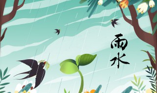 二十四节气之雨水养生 二十四节气雨水养生中药