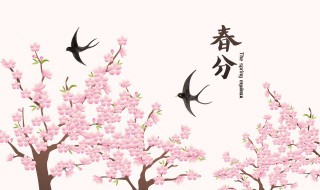 春分节气有什么宜忌知识 春分时节应该注意什么百科