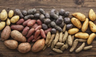 土豆几月份种植最好（什么季节种土豆）